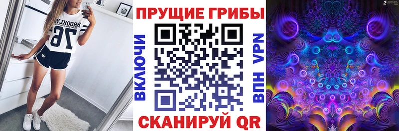 Псилоцибиновые грибы Cubensis  Людиново 